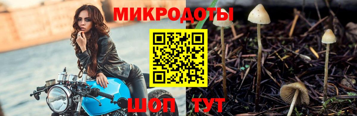 Псилоцибиновые грибы прущие грибы Камышин